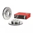 Jeu de 2 disques de frein avant BREMBO 09.B633.10 - Visuel 1