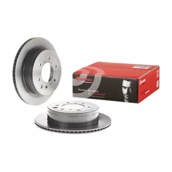 Jeu de 2 disques de frein arrière BREMBO 09.B637.11