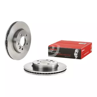 Jeu de 2 disques de frein avant BREMBO 09.B973.10
