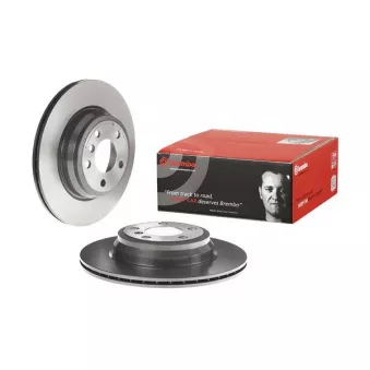 Jeu de 2 disques de frein arrière BREMBO