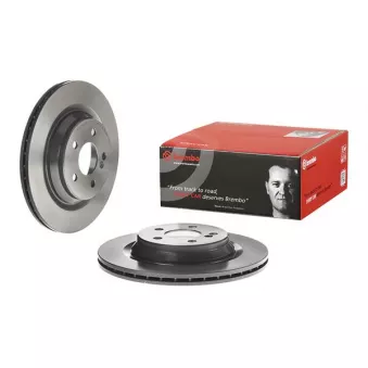 Jeu de 2 disques de frein arrière BREMBO 09.C134.11