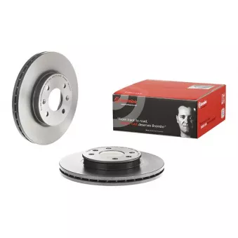 Jeu de 2 disques de frein avant BREMBO 09.C173.11