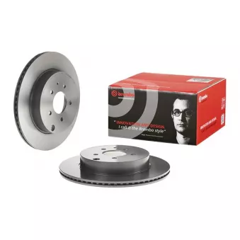 Jeu de 2 disques de frein arrière BREMBO 09.C178.11
