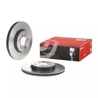 Jeu de 2 disques de frein avant BREMBO 09.C349.11