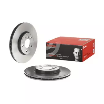 Jeu de 2 disques de frein avant BREMBO 09.C350.11