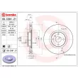 Jeu de 2 disques de frein avant BREMBO 09.C391.21 - Visuel 2