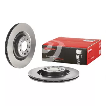 Jeu de 2 disques de frein arrière BREMBO 09.C498.21