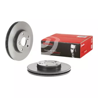 Jeu de 2 disques de frein avant BREMBO 09.C648.11