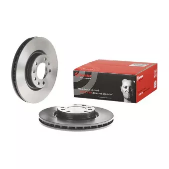 Jeu de 2 disques de frein avant BREMBO 09.C658.11