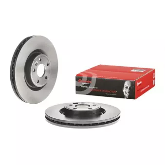 Jeu de 2 disques de frein avant BREMBO 09.C821.11