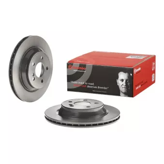 Jeu de 2 disques de frein arrière BREMBO 09.C941.11