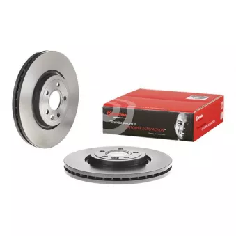 Jeu de 2 disques de frein avant BREMBO 09.D063.21