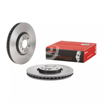 Jeu de 2 disques de frein avant BREMBO