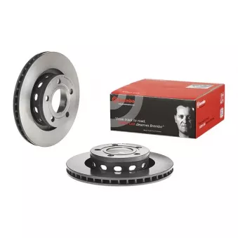 Jeu de 2 disques de frein arrière BREMBO 09.D230.11