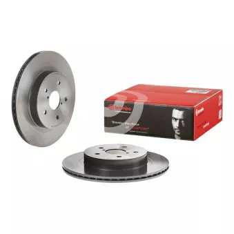 Jeu de 2 disques de frein arrière BREMBO 09.D246.11