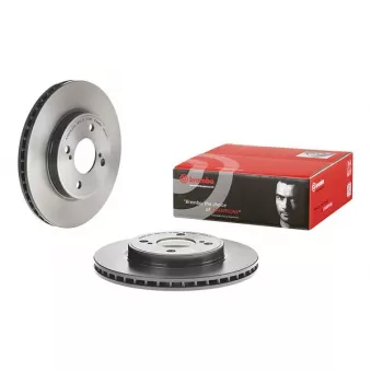 Jeu de 2 disques de frein avant BREMBO 09.D247.11