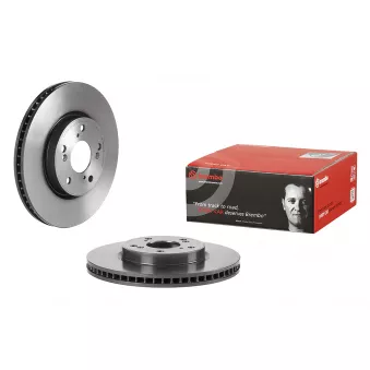 Jeu de 2 disques de frein arrière BREMBO 09.D280.11