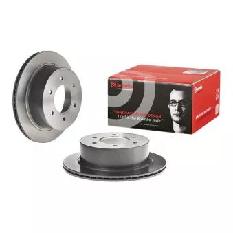 Jeu de 2 disques de frein arrière BREMBO 09.D413.11