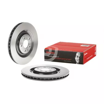 Jeu de 2 disques de frein arrière BREMBO 09.D424.11