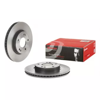 Jeu de 2 disques de frein avant BREMBO 09.D427.11