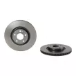 Jeu de 2 disques de frein arrière BREMBO 09.D531.13 - Visuel 2