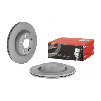 Jeu de 2 disques de frein arrière BREMBO 09.D533.13