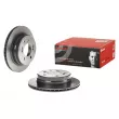 Jeu de 2 disques de frein arrière BREMBO 09.D569.11 - Visuel 1
