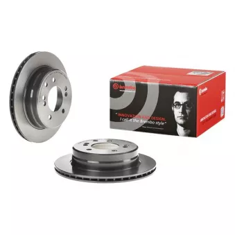 Jeu de 2 disques de frein arrière BREMBO 09.D569.21