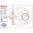 Jeu de 2 disques de frein avant BREMBO 09.D720.11 - Visuel 2