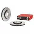 Jeu de 2 disques de frein avant BREMBO 09.D749.11 - Visuel 1