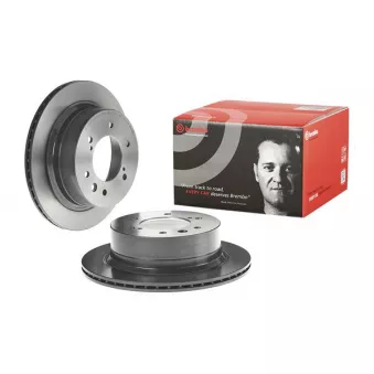 Jeu de 2 disques de frein arrière BREMBO 09.D853.11