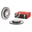 Jeu de 2 disques de frein avant BREMBO 09.D880.11 - Visuel 1