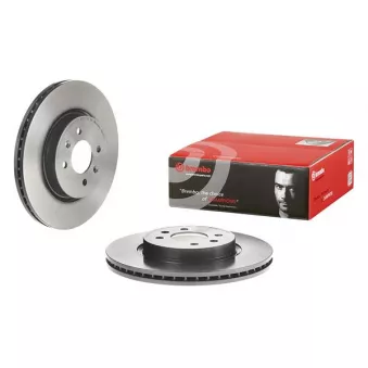 Jeu de 2 disques de frein avant BREMBO 09.D880.11