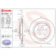 Jeu de 2 disques de frein arrière BREMBO 09.E031.11 - Visuel 2