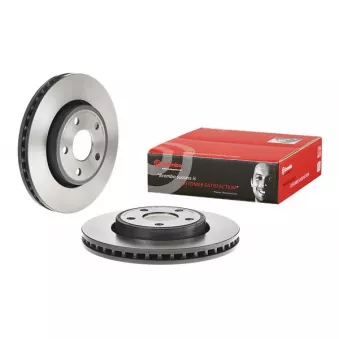 Jeu de 2 disques de frein avant BREMBO