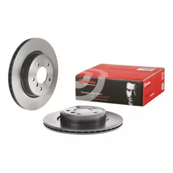 Jeu de 2 disques de frein arrière BREMBO 09.R122.11