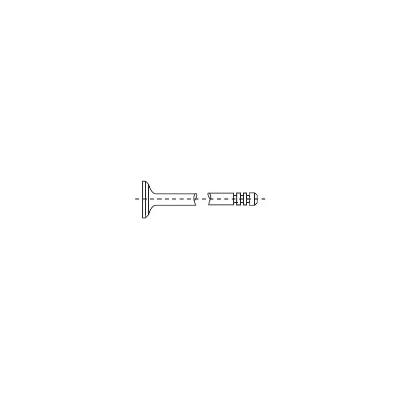 Soupape d'admission CORTECO 551581B