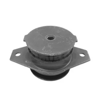 Suspension, boîte automatique CORTECO