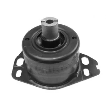 Suspension, boîte automatique CORTECO 80000307