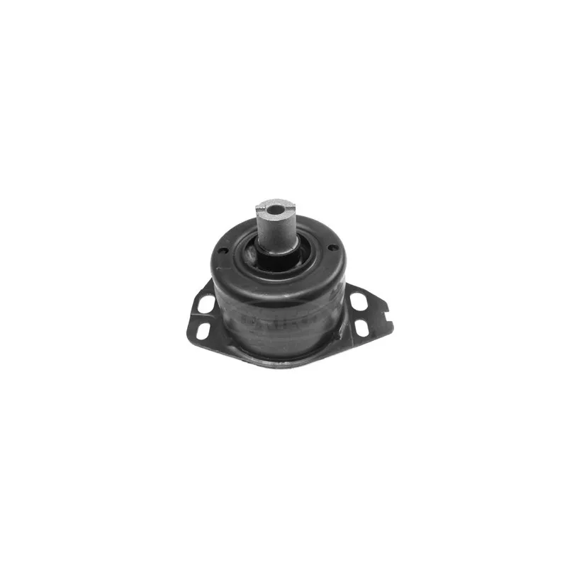 Suspension, boîte automatique CORTECO 80000307