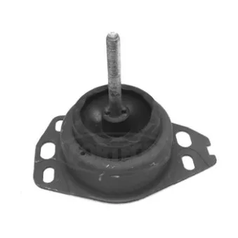 Support moteur CORTECO 80000313