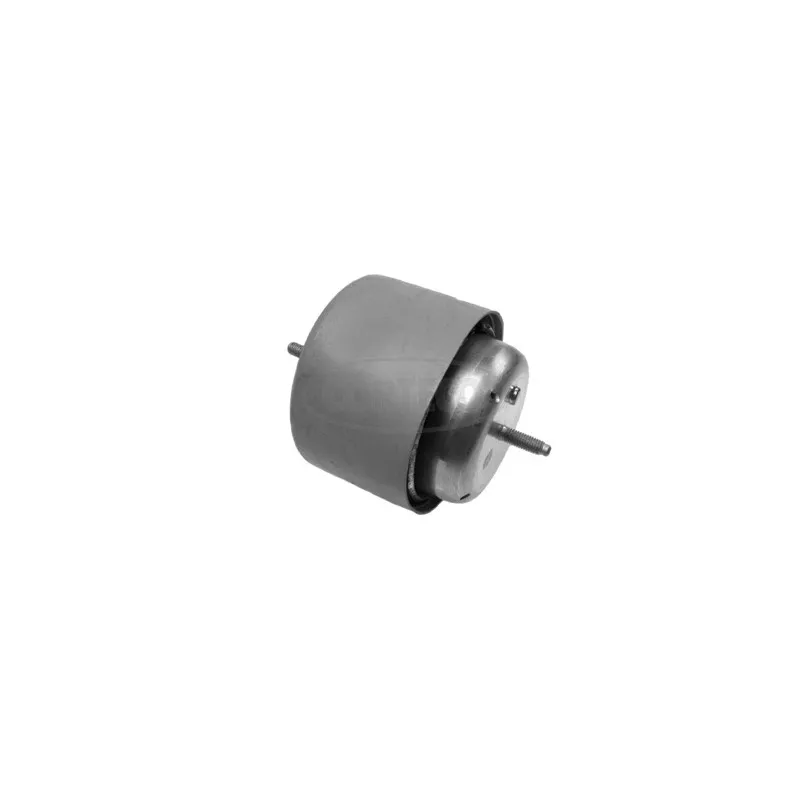 Support moteur CORTECO 80000533