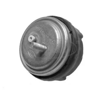 Support moteur CORTECO 80000553