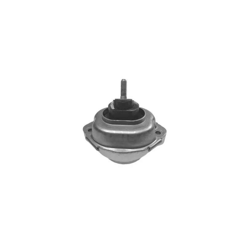 Support moteur CORTECO 80000560