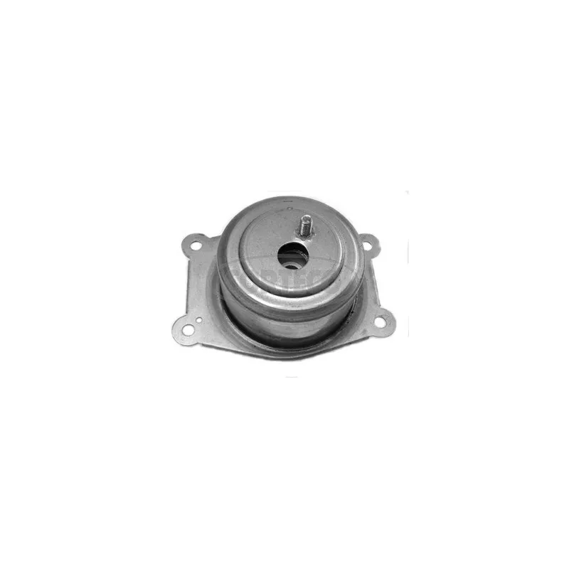 Suspension, boîte automatique CORTECO 80000579