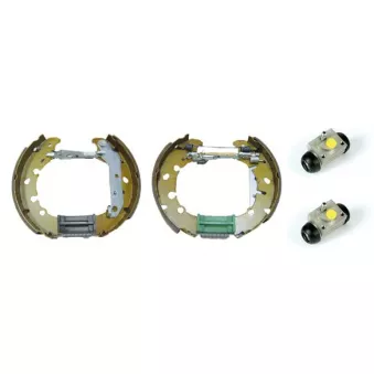 Kit de freins arrière (prémontés) BREMBO K 24 061