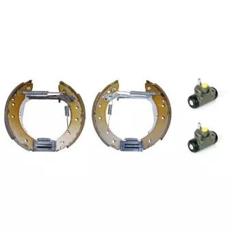 Kit de freins arrière (prémontés) BREMBO K 61 065