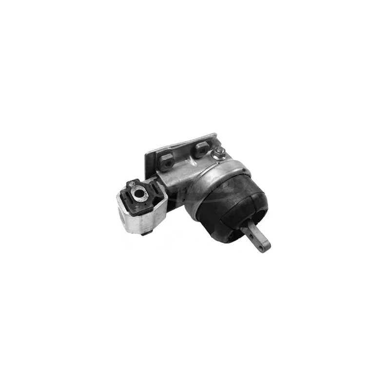 Support moteur CORTECO 80000719