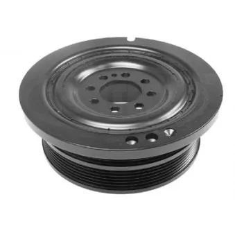 Poulie, vilebrequin CORTECO