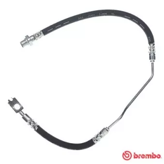 Flexible de frein BREMBO T 06 015